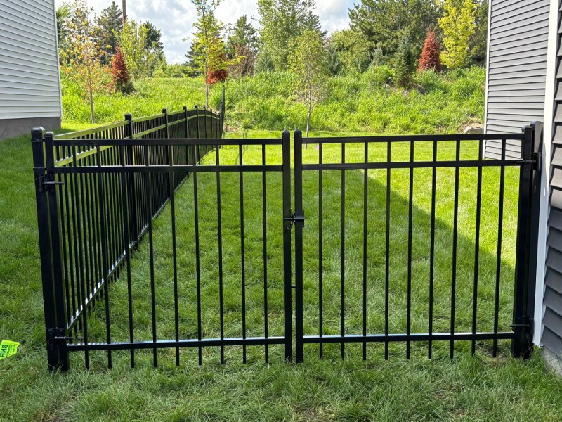 Ornamental Steel Image 2