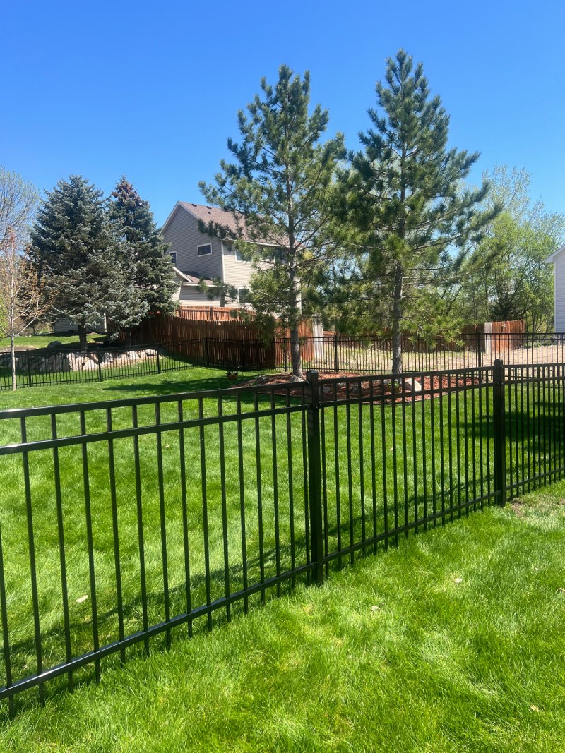 Ornamental Steel Image 3