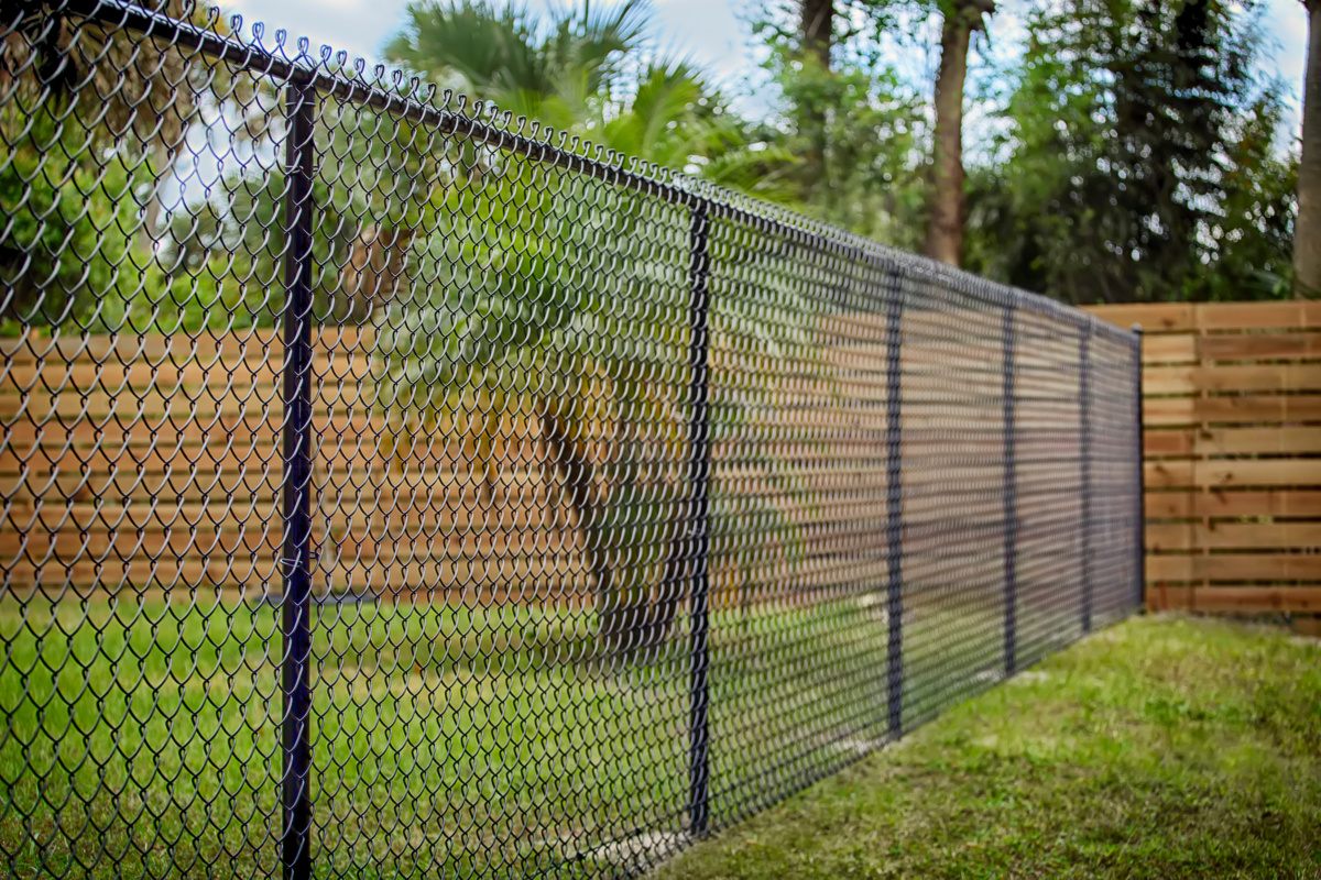 Chain Link Is the Cheapest Fence in Minneapolis: Here's Why