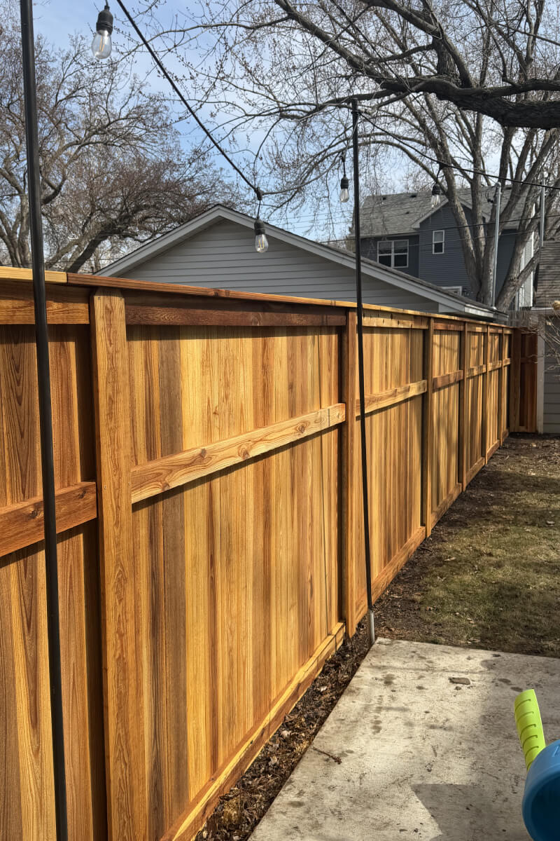 Freshly stained cedar fence panel showing rich wood tone and protective finish