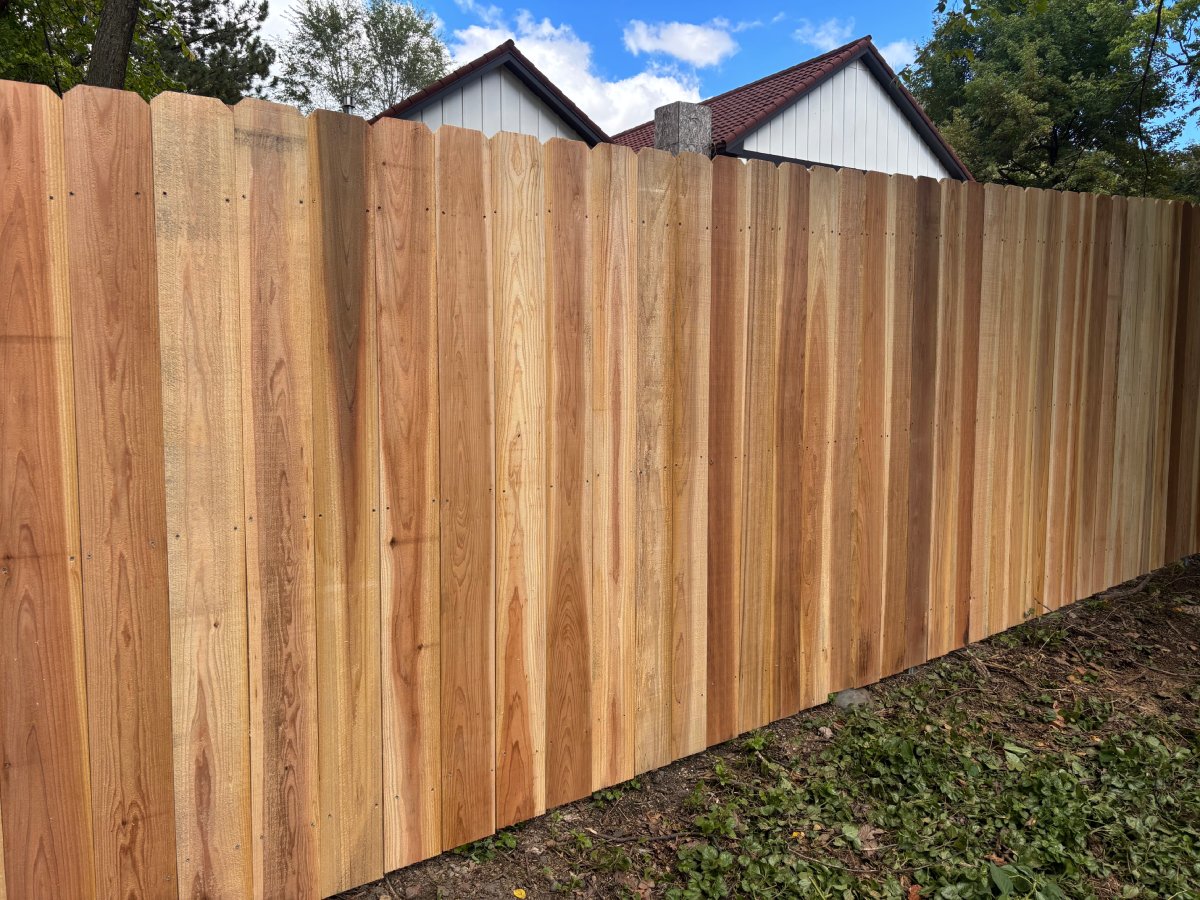 Close-up of cedar privacy fence panel showing wood grain and vertical board construction