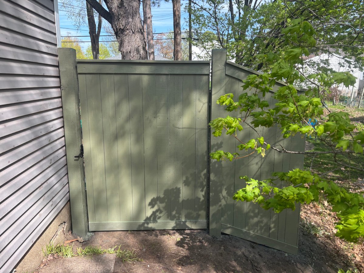 Green painted cedar privacy fence with gate under trees and shade