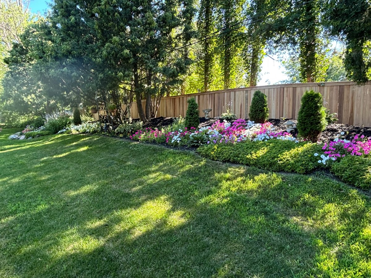 Cedar privacy fence bordering backyard with colorful flower garden and green lawn