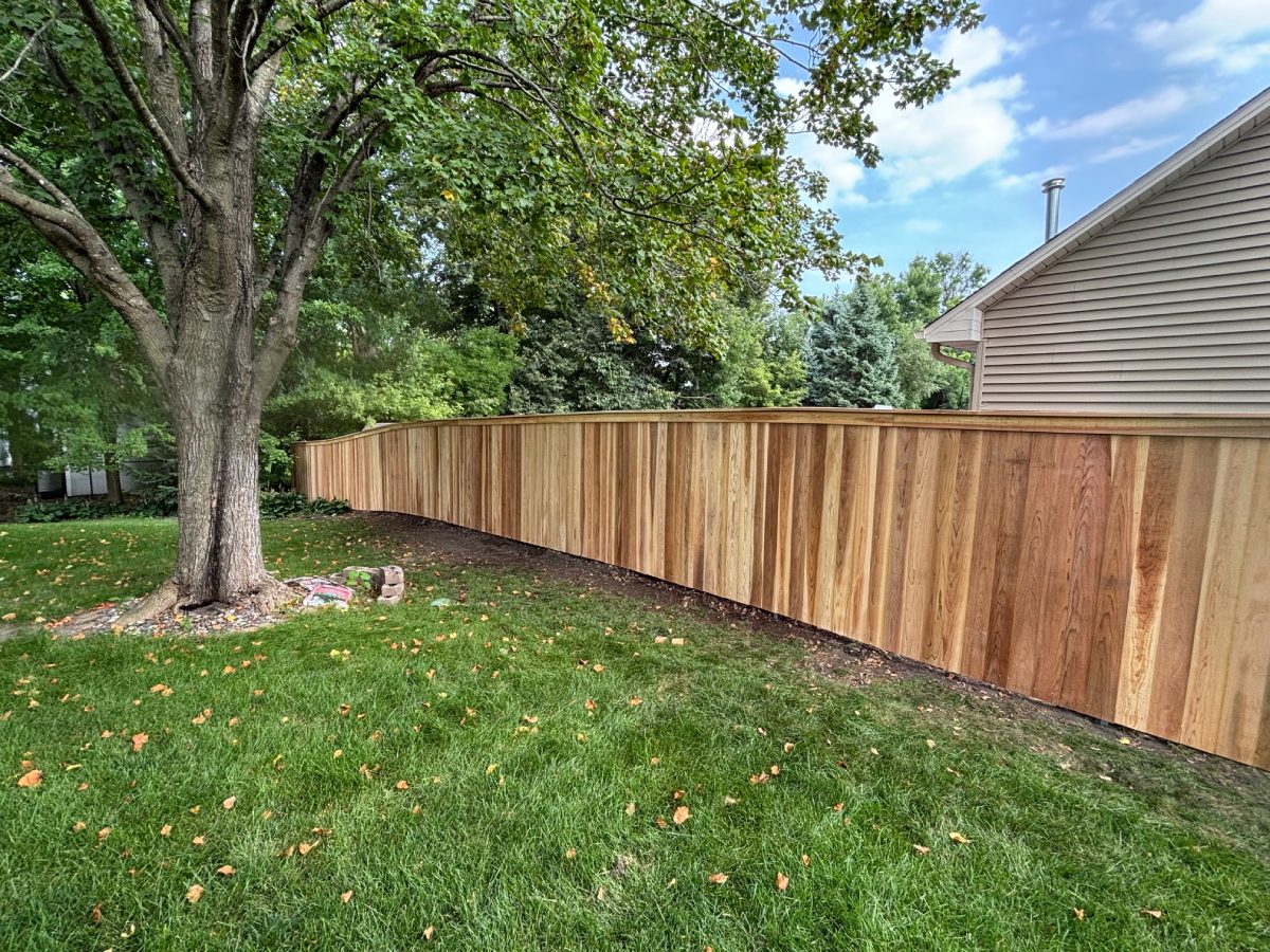 Cedar privacy fence lining curved backyard lawn under mature trees