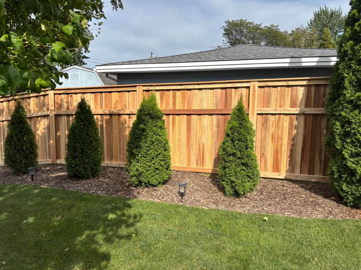 Cedar privacy fence with evergreen trees along the back of a St. Louis Park yard