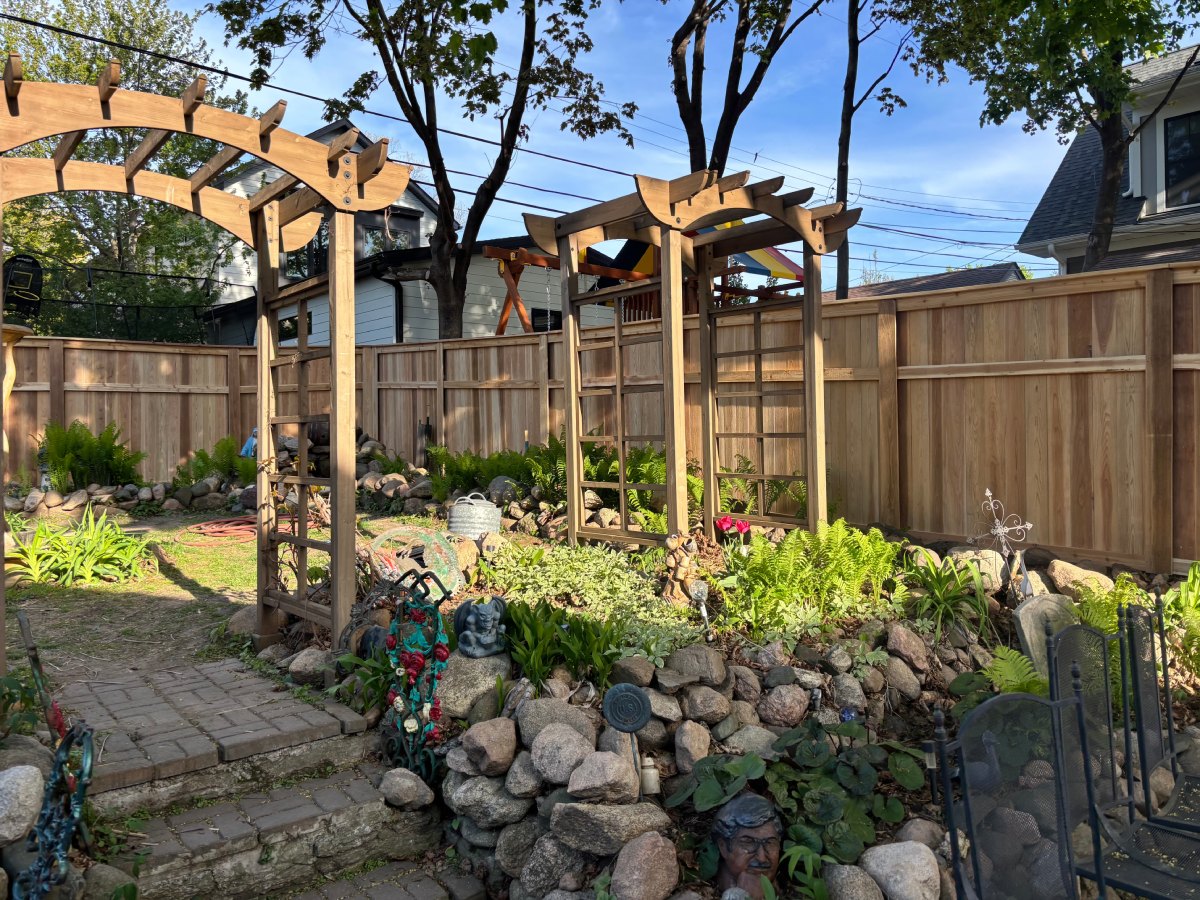 Cedar fence and pergola in a landscaped backyard with boulders