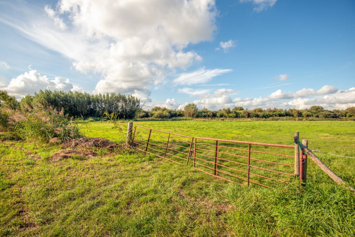Fence Gate Sagging: Why It Happens and How to Fix It